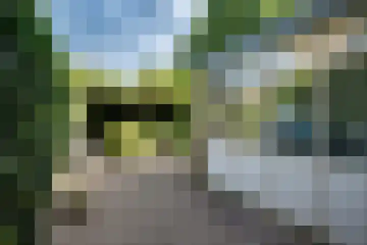 Pikeursbaan 9 Gorssel thumbnail 23