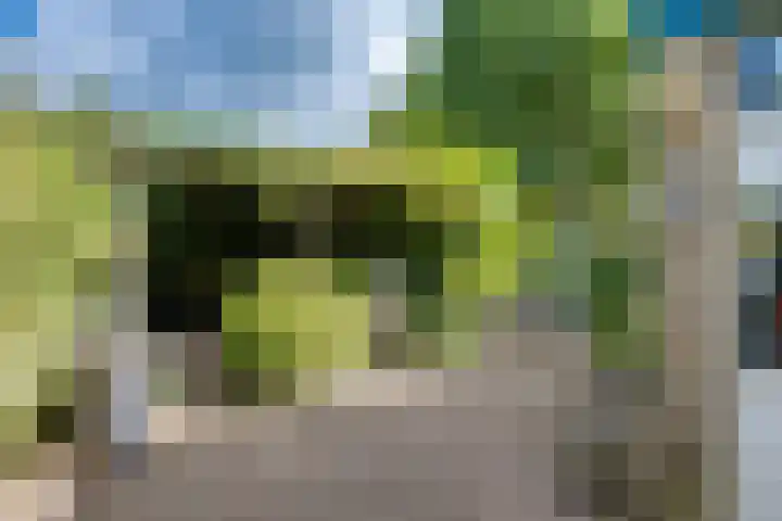 Pikeursbaan 9 Gorssel thumbnail 24