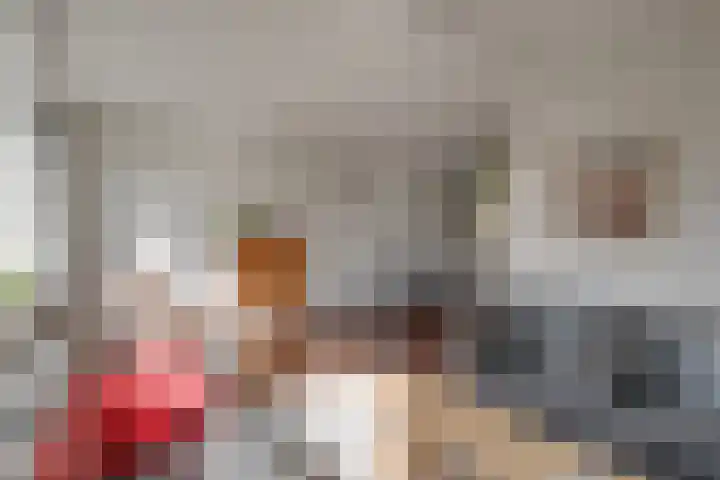 Pikeursbaan 9 Gorssel thumbnail 5