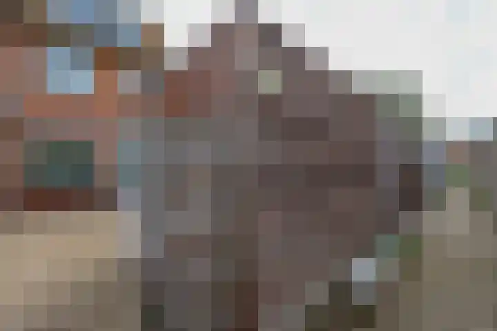 Pikoletstraat 20 Amsterdam thumbnail 31