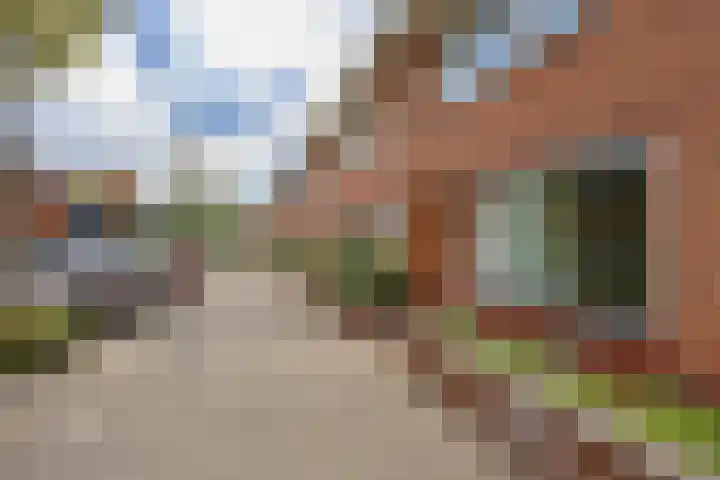 Pikoletstraat 20 Amsterdam thumbnail 34