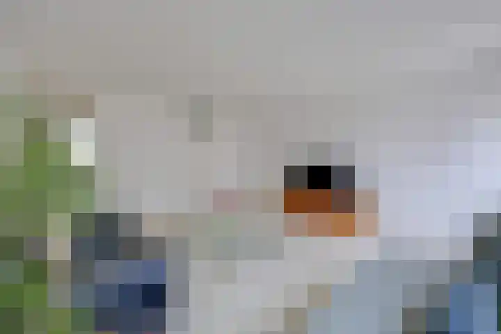 Pikoletstraat 20 Amsterdam thumbnail 8