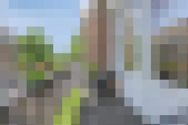Piksenweg 7 Hoge Hexel thumbnail 12