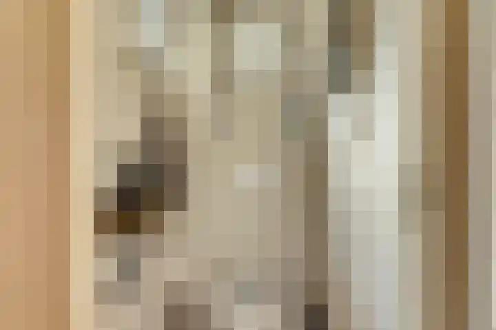 Piksenweg 7 Hoge Hexel thumbnail 18