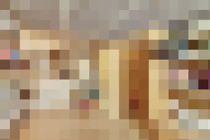 Piksenweg 7 Hoge Hexel thumbnail 21