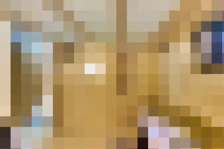 Piksenweg 7 Hoge Hexel thumbnail 22