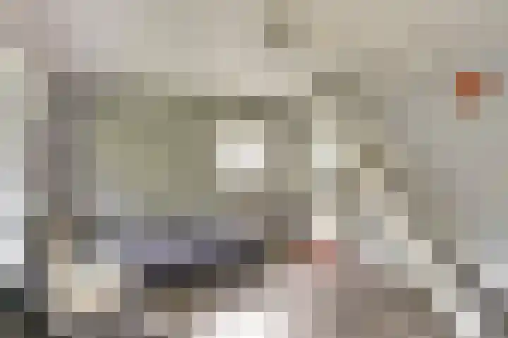 Piksenweg 7 Hoge Hexel thumbnail 26