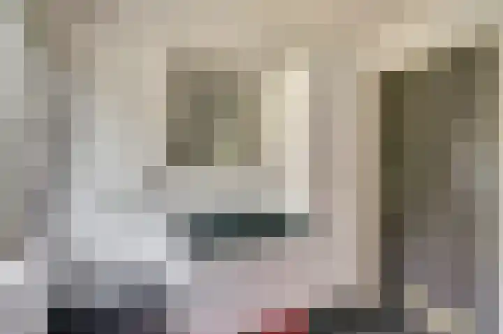 Piksenweg 7 Hoge Hexel thumbnail 30