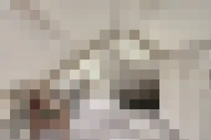 Piksenweg 7 Hoge Hexel thumbnail 34