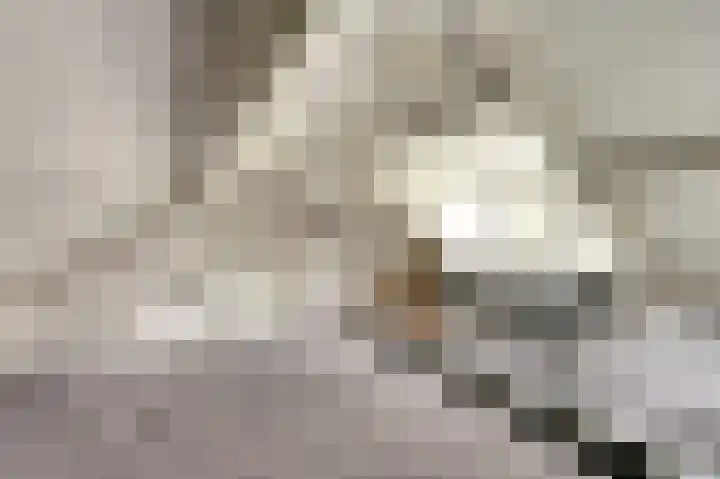 Piksenweg 7 Hoge Hexel thumbnail 35