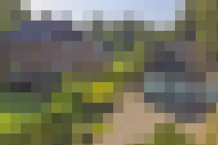 Piksenweg 7 Hoge Hexel thumbnail 38