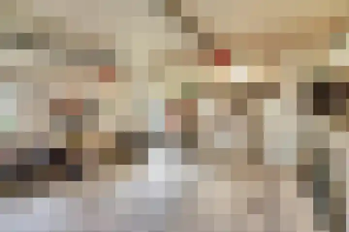 Piksenweg 7 Hoge Hexel thumbnail 42
