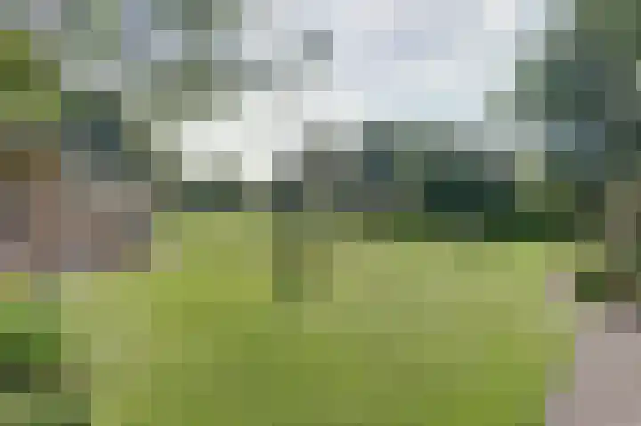Piksenweg 7 Hoge Hexel thumbnail 43