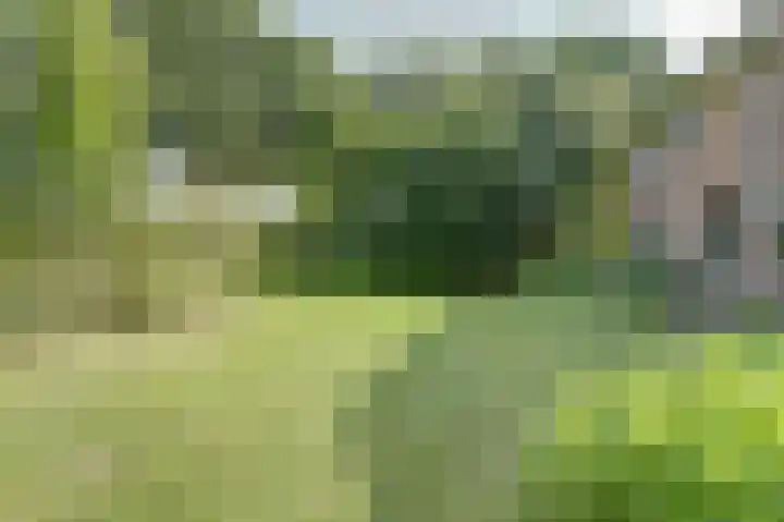 Piksenweg 7 Hoge Hexel thumbnail 44