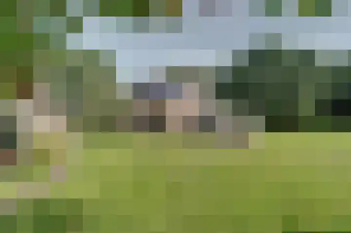 Piksenweg 7 Hoge Hexel thumbnail 45