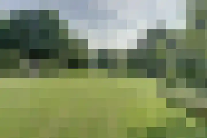 Piksenweg 7 Hoge Hexel thumbnail 46