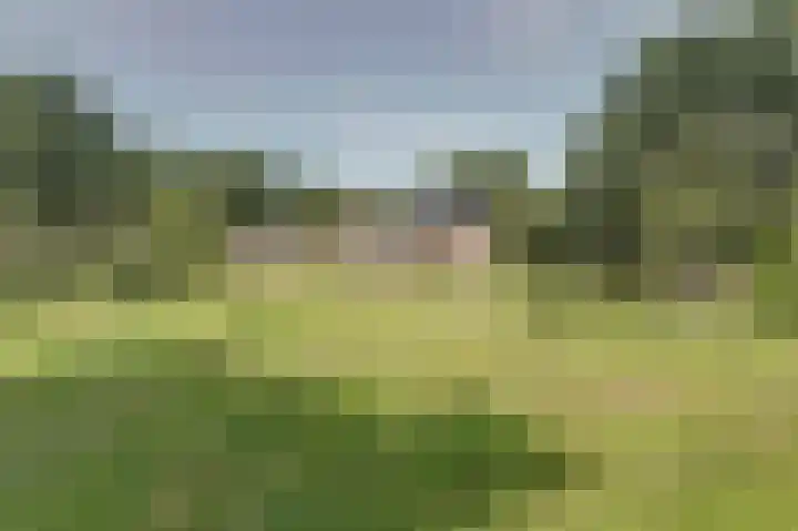Piksenweg 7 Hoge Hexel thumbnail 47
