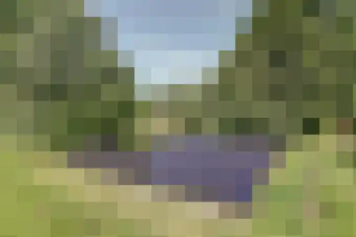 Piksenweg 7 Hoge Hexel thumbnail 48