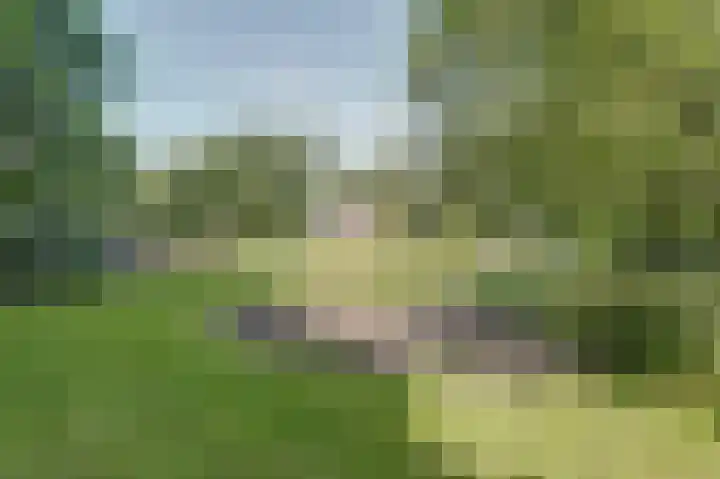 Piksenweg 7 Hoge Hexel thumbnail 49