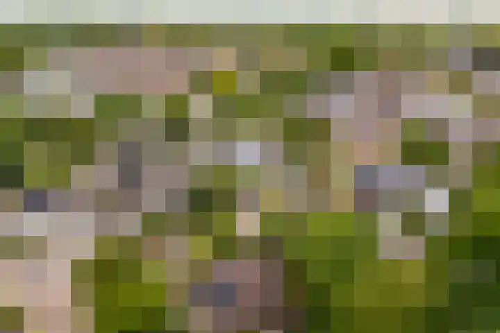 Piksenweg 7 Hoge Hexel thumbnail 51