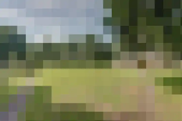 Piksenweg 7 Hoge Hexel thumbnail 51