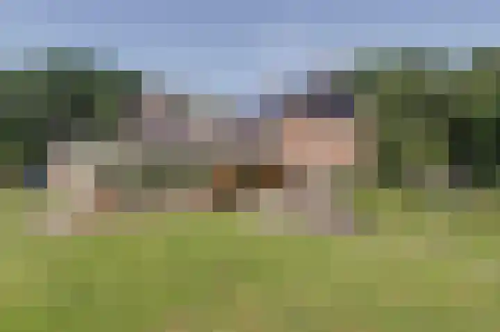 Piksenweg 7 Hoge Hexel thumbnail 52
