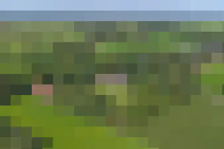 Piksenweg 7 Hoge Hexel thumbnail 53