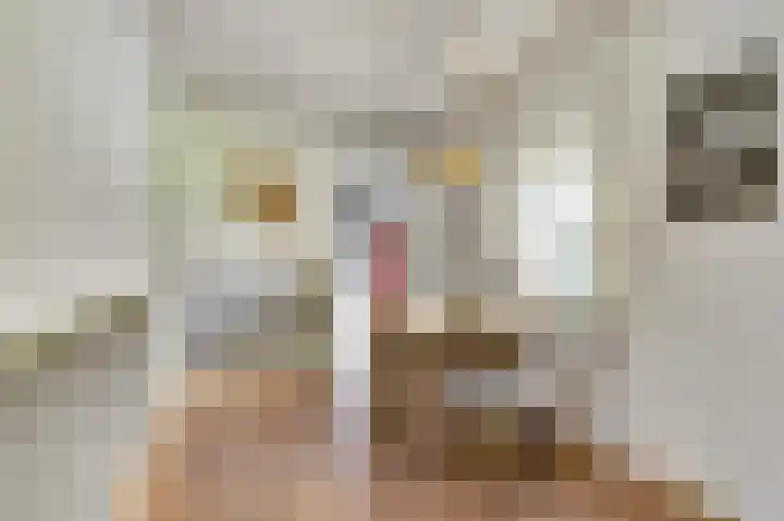 Piksenweg 7 Hoge Hexel thumbnail 6