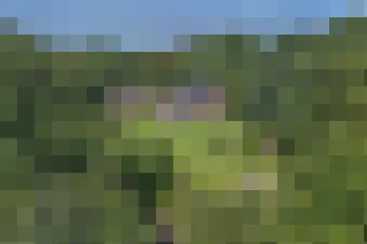 Piksenweg 7 Hoge Hexel thumbnail 60