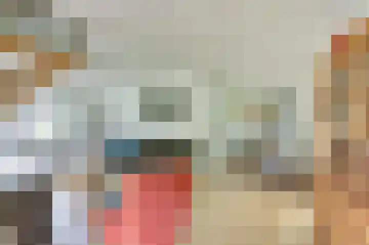 Piksenweg 7 Hoge Hexel thumbnail 7