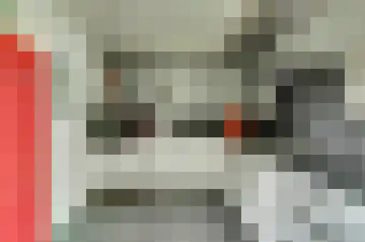 Piksenweg 7 Hoge Hexel thumbnail 9