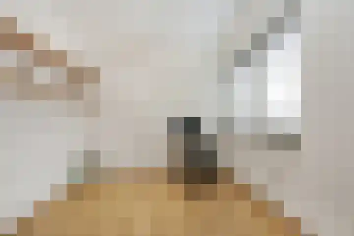 Pilarenlaan 6 C Noordwijkerhout thumbnail 21