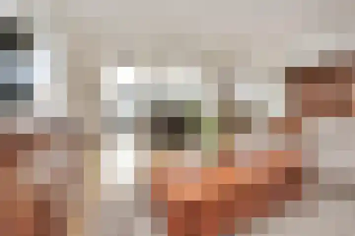 Pilarenlaan 6 C Noordwijkerhout thumbnail 4