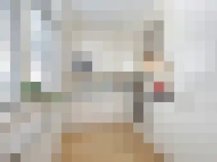 Pilarenlaan 6 C Noordwijkerhout thumbnail 9