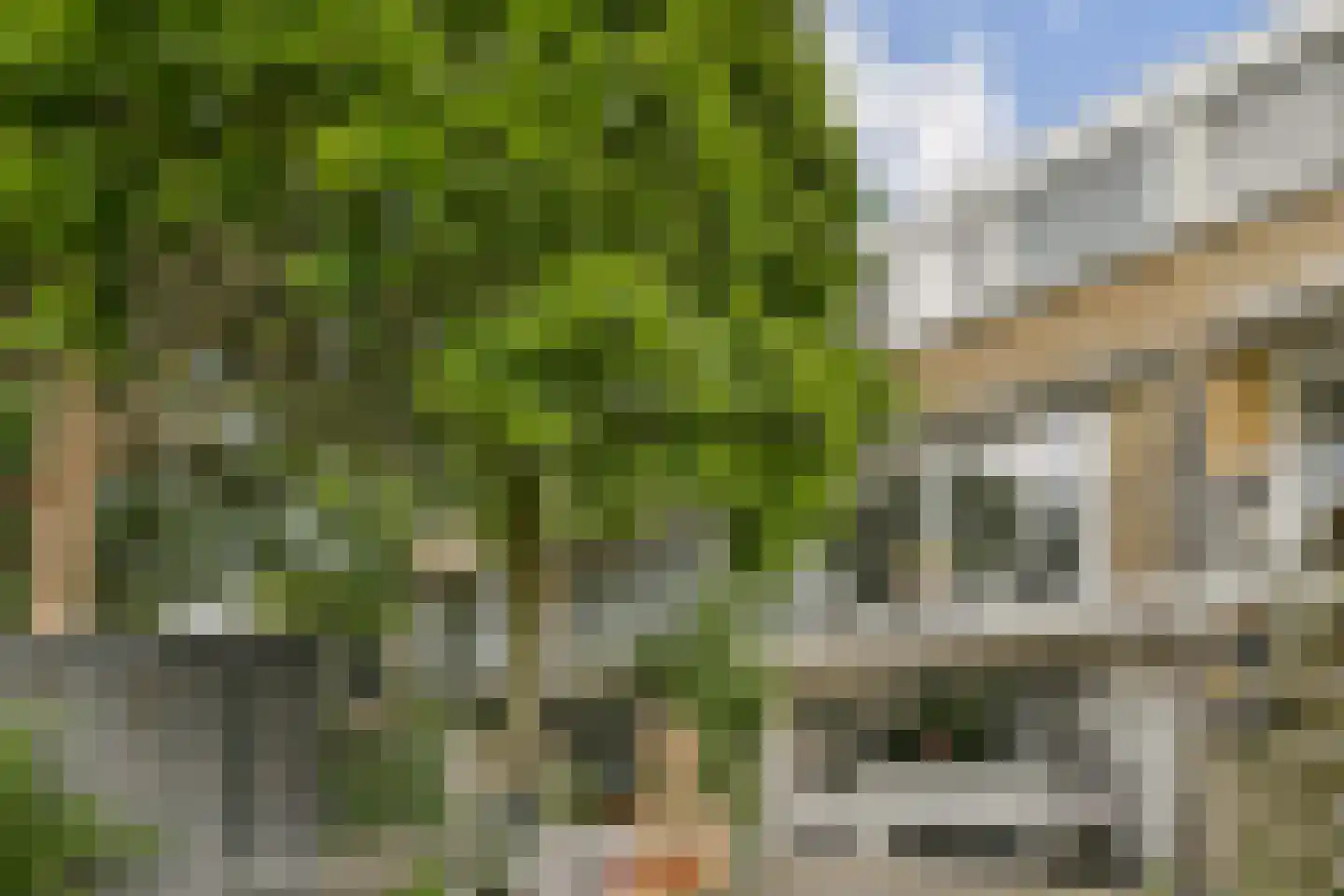 Pilatus 3 Amstelveen thumbnail 30