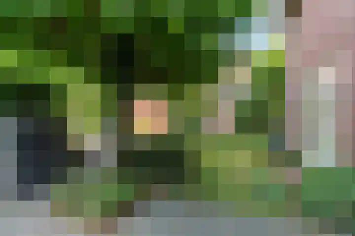 Pilgrimstraat 12 Huissen thumbnail 32