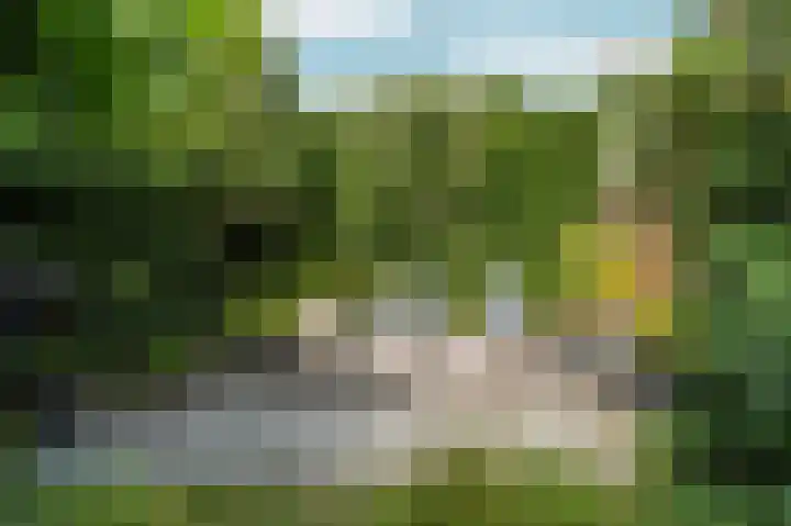 Pilgrimstraat 12 Huissen thumbnail 34