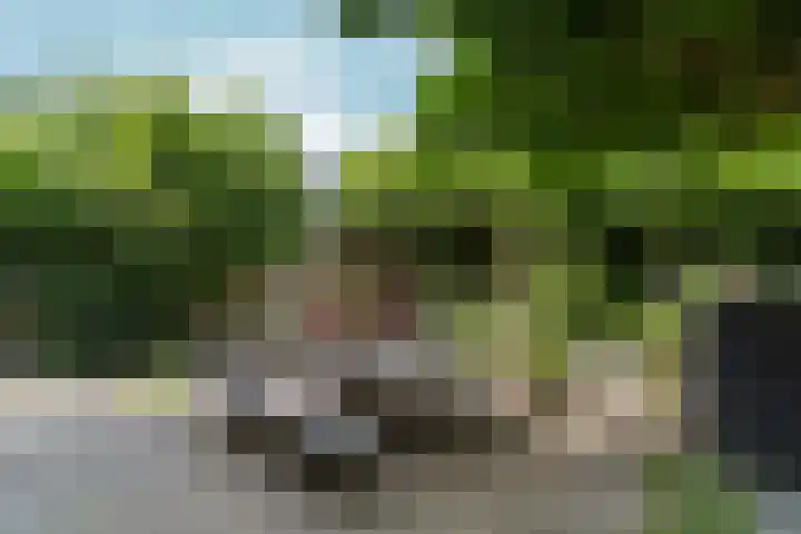 Pilgrimstraat 12 Huissen thumbnail 36