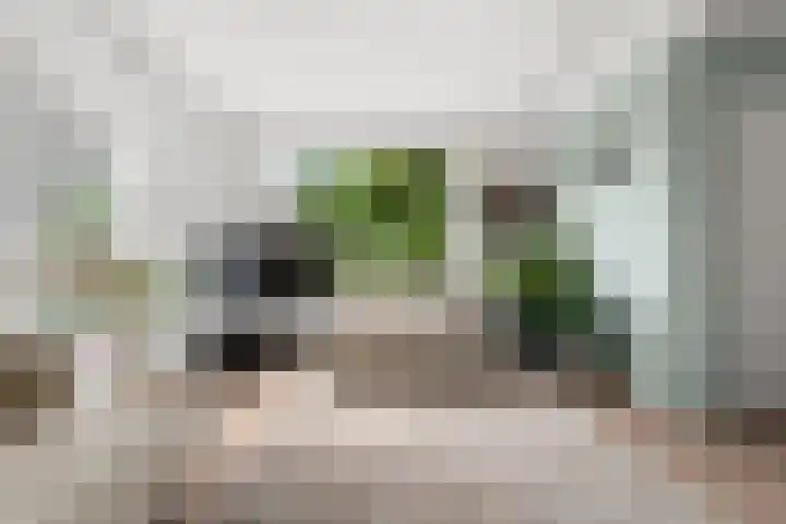 Pilgrimstraat 12 Huissen thumbnail 6