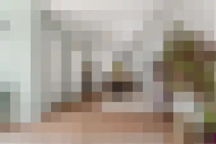 Pilgrimstraat 12 Huissen thumbnail 9