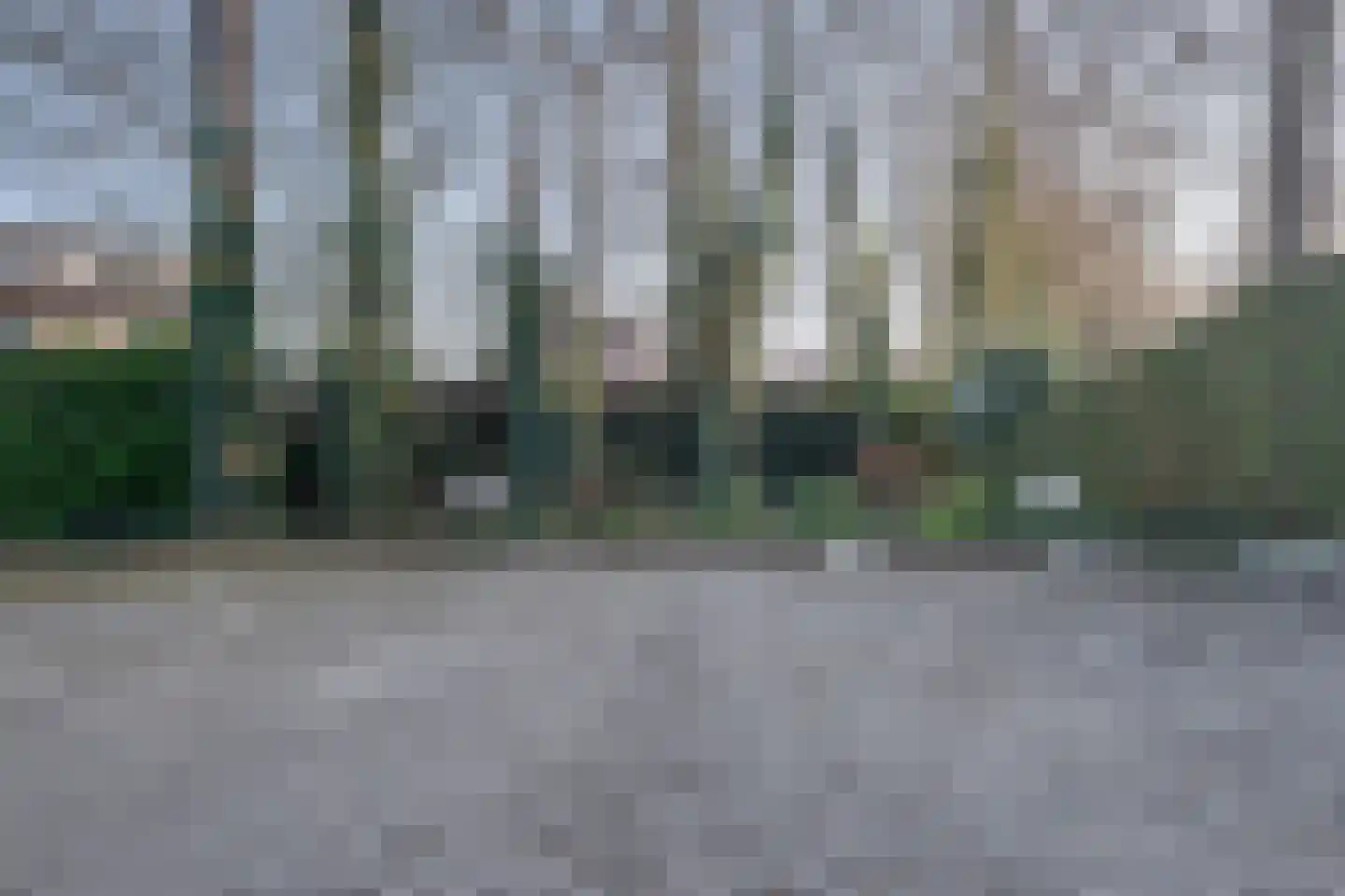 Pillinkpad 6 Lochem thumbnail 22