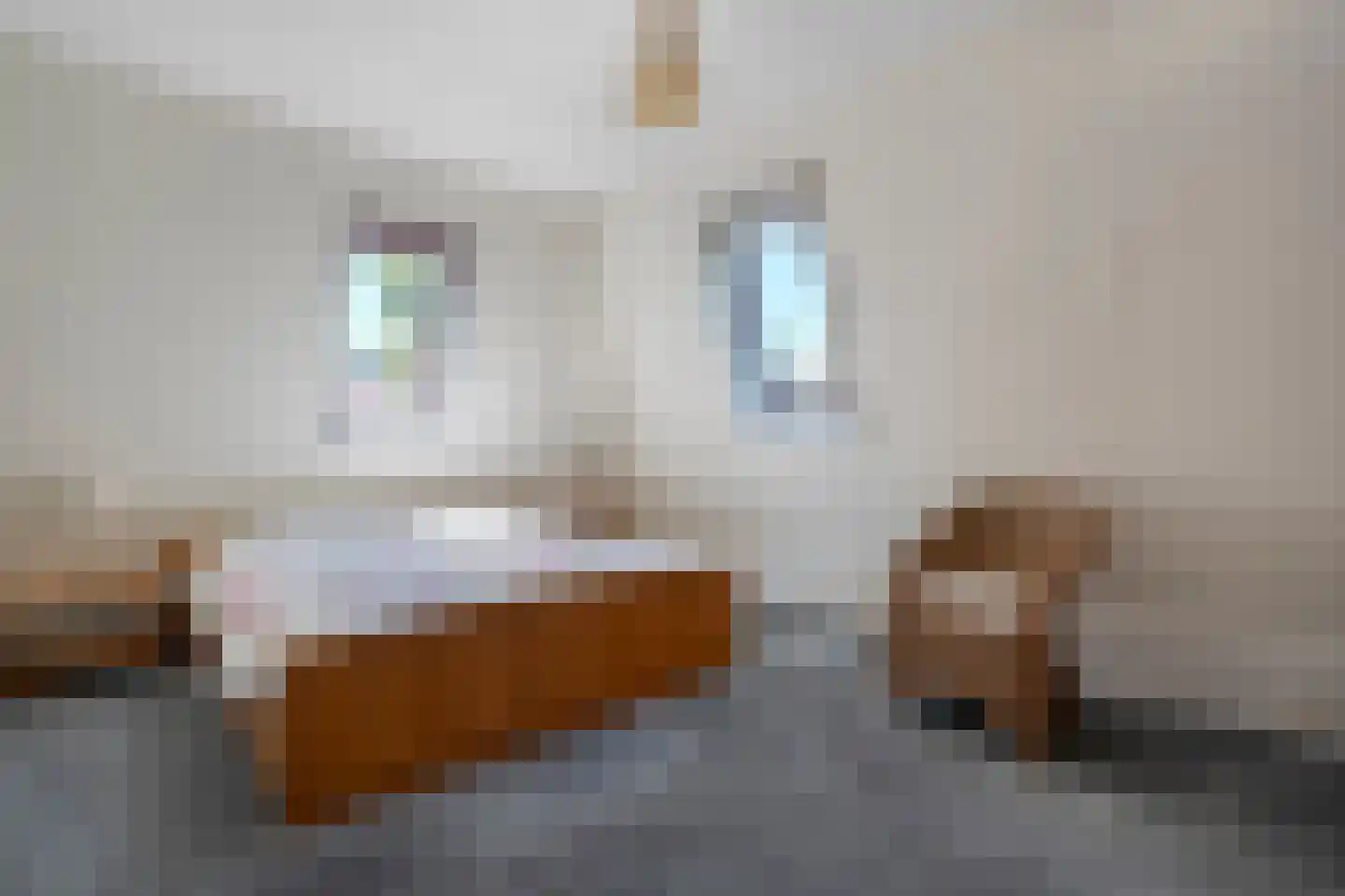 Pilotenlaan 29 Zwolle thumbnail 24