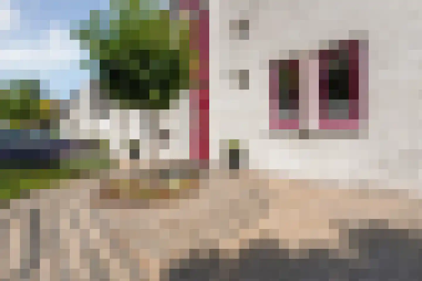 Pilotenlaan 29 Zwolle thumbnail 52