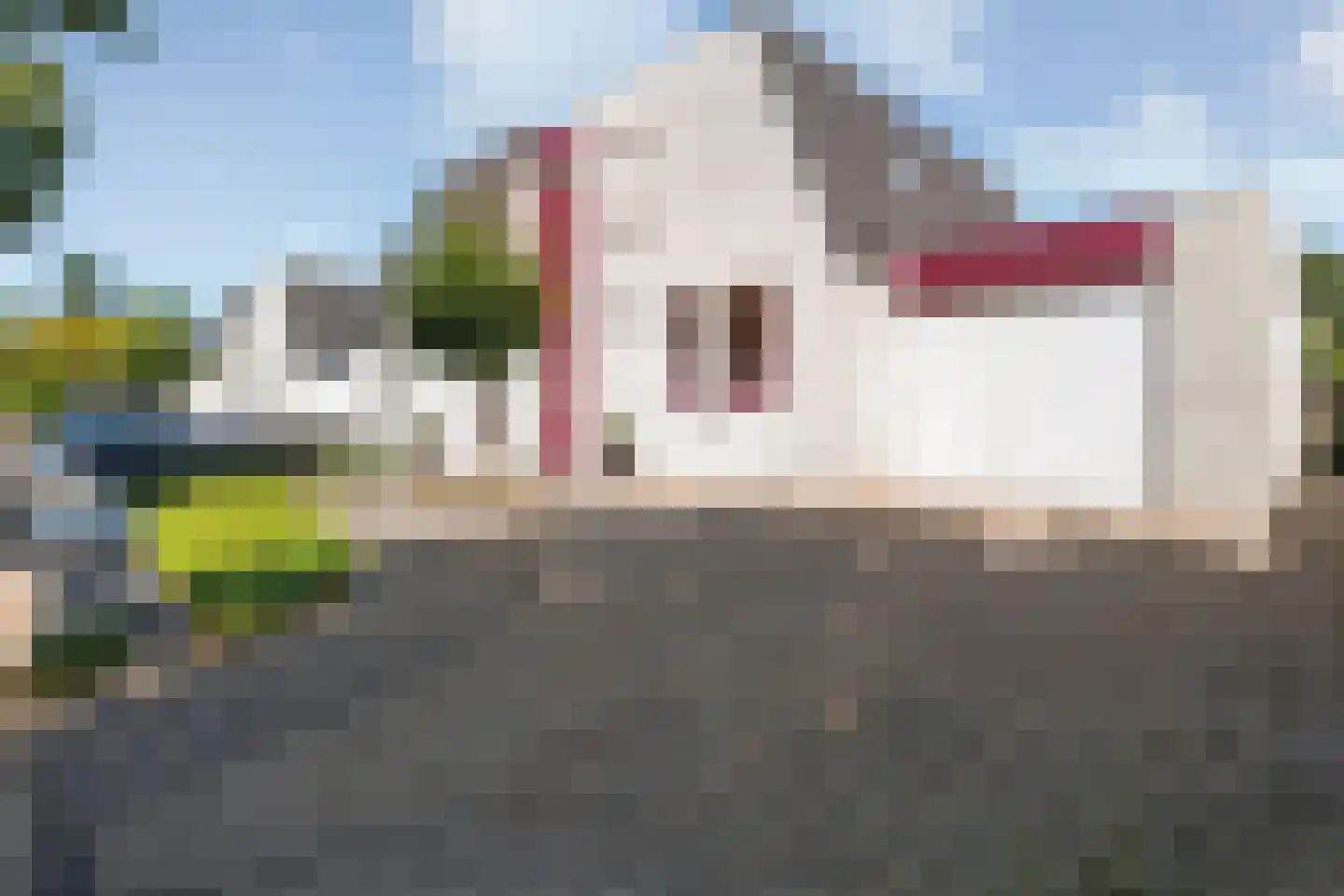 Pilotenlaan 29 Zwolle thumbnail 55