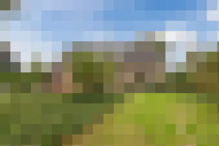 Pilotenlaan 5 Meppel thumbnail 32