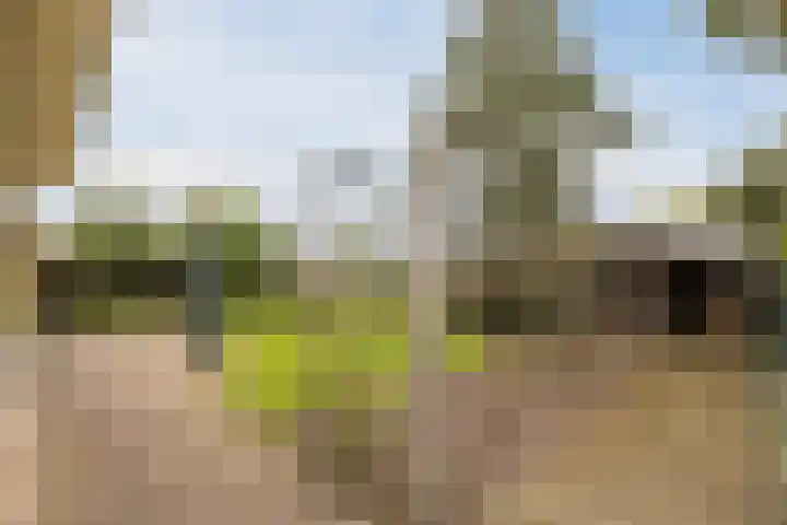 Pilotenlaan 5 Meppel thumbnail 37