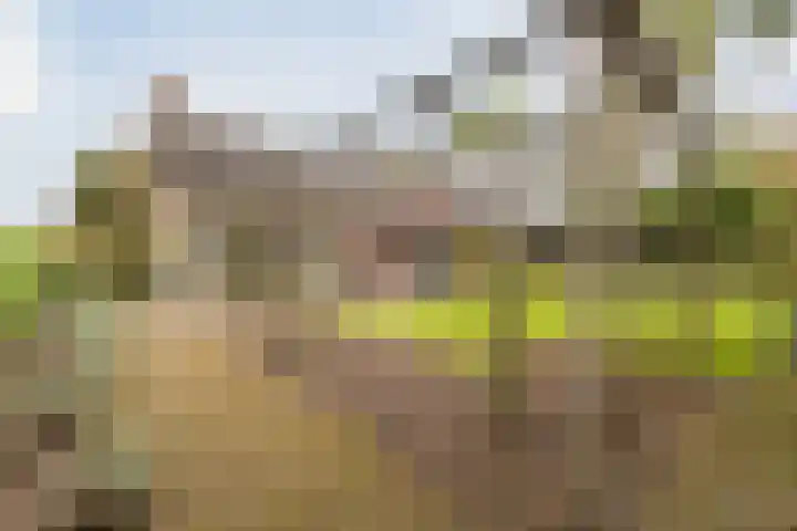Pilotenlaan 5 Meppel thumbnail 38