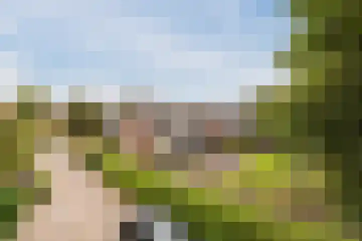 Pilotenlaan 5 Meppel thumbnail 4