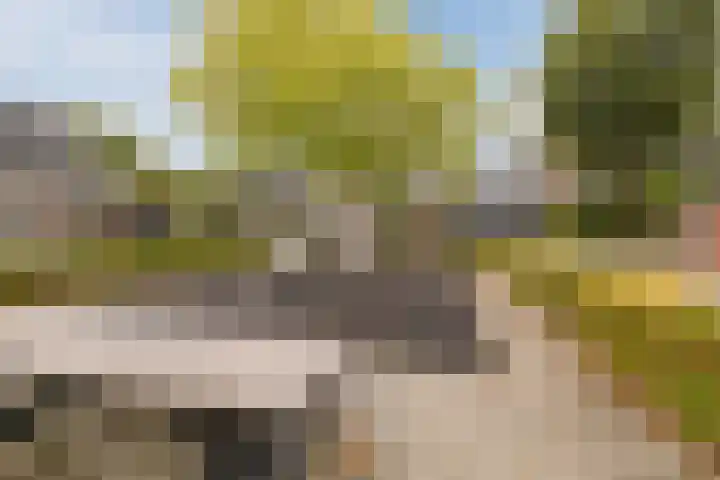 Pilotenlaan 5 Meppel thumbnail 41