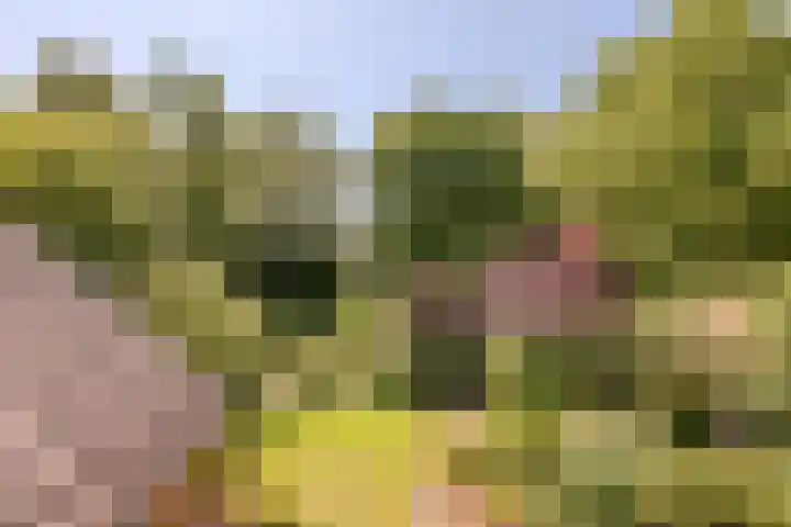 Pilotenlaan 9 Meppel thumbnail 30
